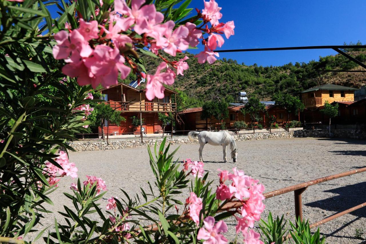 Oranj Ranch Hotel 케메르 외부 사진