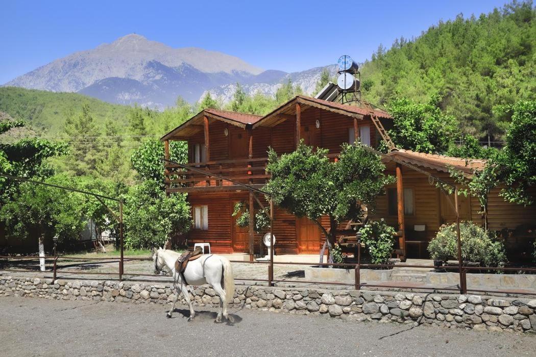 Oranj Ranch Hotel 케메르 외부 사진