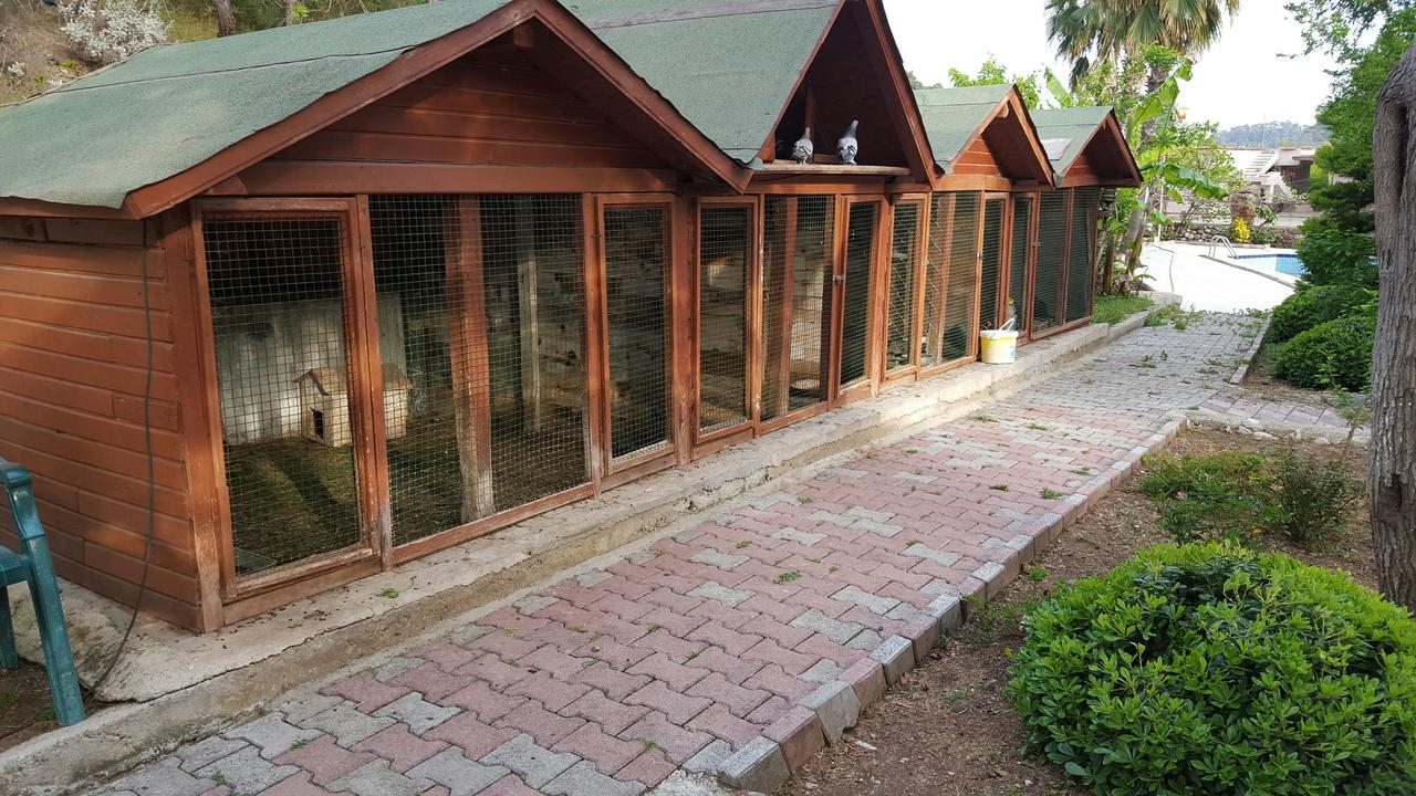 Oranj Ranch Hotel 케메르 외부 사진